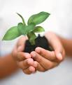 UNIFOR irá promover Blitz Ambiental