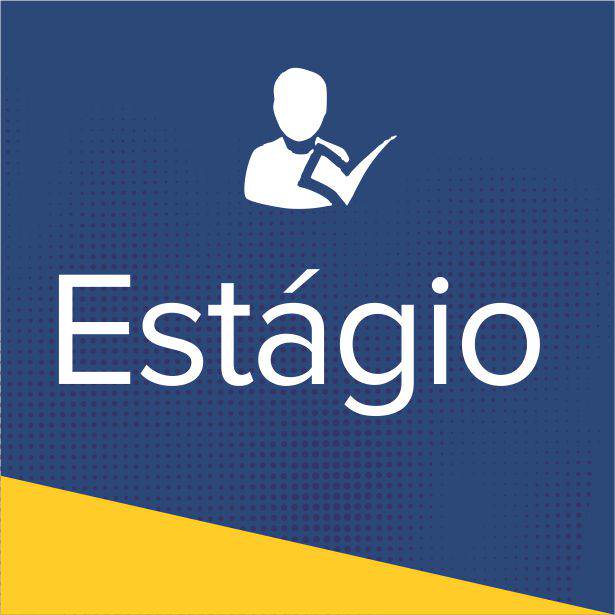 NET Solutions Informática seleciona estagiário
