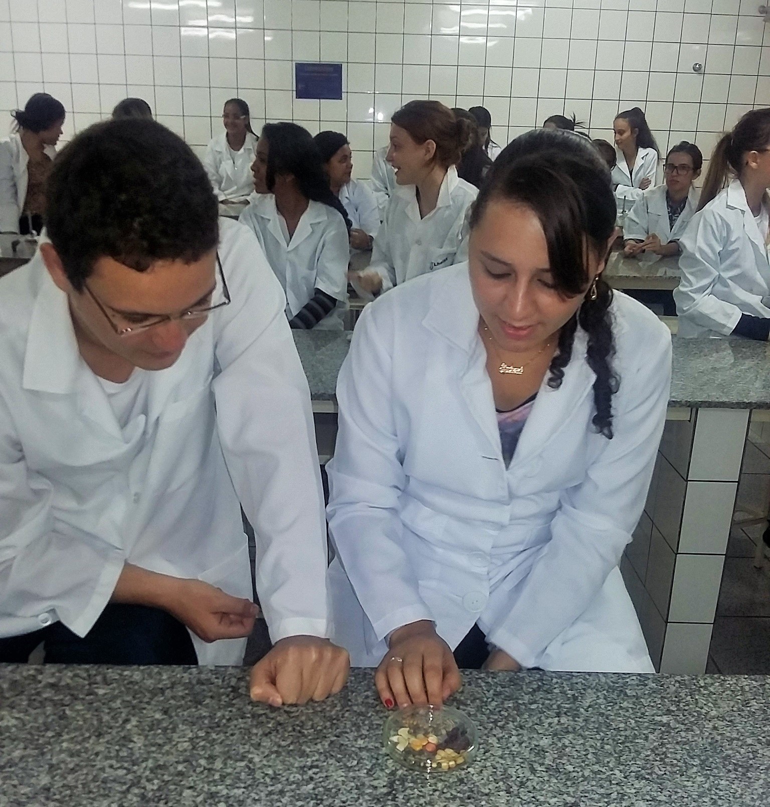 Alunos de Ciências Biológicas participam de minicurso sobre Formação e Estrutura de Sementes