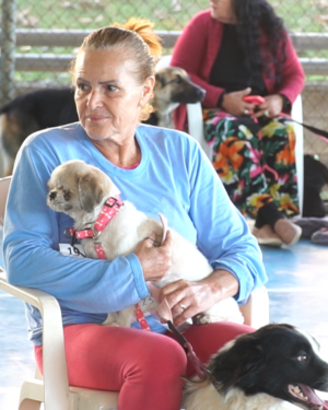 MUTIRÃO PARA CASTRAÇÃO DE ANIMAIS É REALIZADO NO CLUBE UNIFOR
