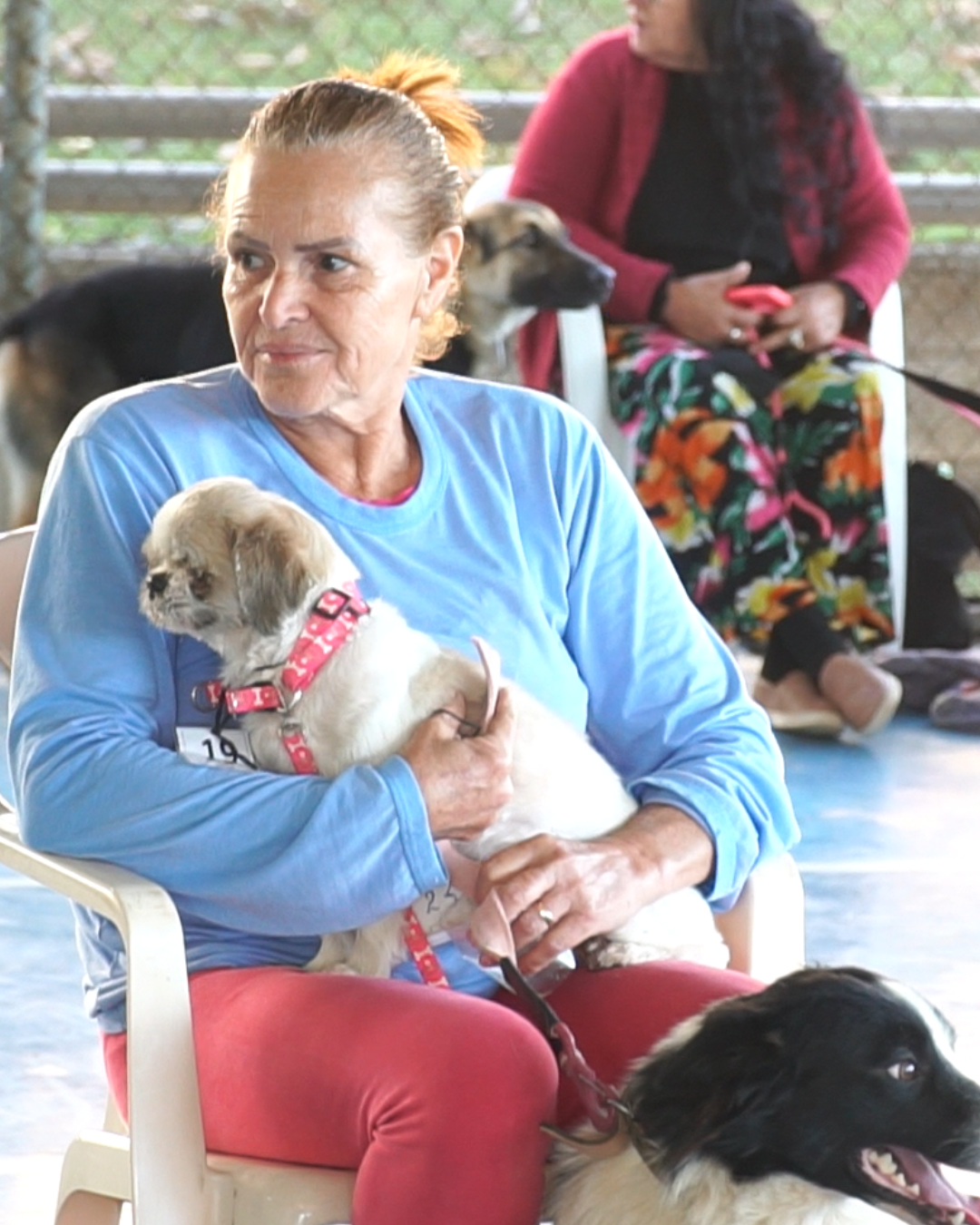 MUTIRÃO PARA CASTRAÇÃO DE ANIMAIS É REALIZADO NO CLUBE UNIFOR