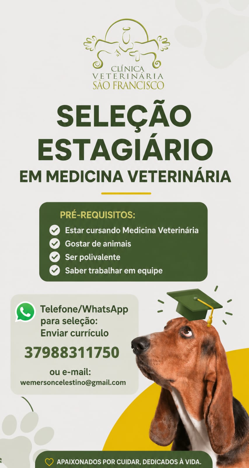 CLÍNICA SÃO FRANCISCO ABRE SELEÇÃO PARA ESTÁGIO DE MEDICINA VETERINÁRIA